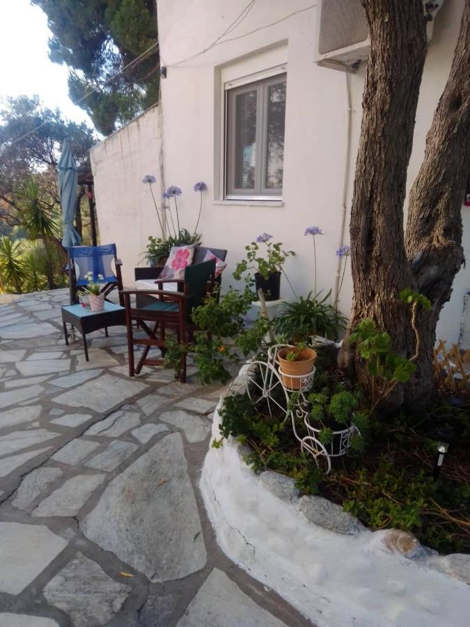 Vasilias  Anemos Studios מראה חיצוני תמונה