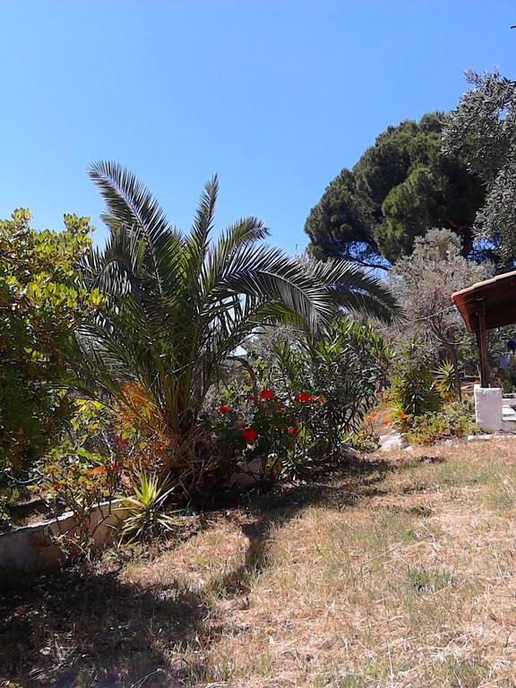 Vasilias  Anemos Studios מראה חיצוני תמונה
