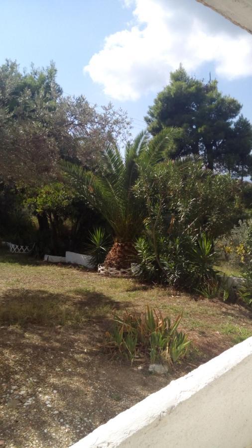 Vasilias  Anemos Studios מראה חיצוני תמונה